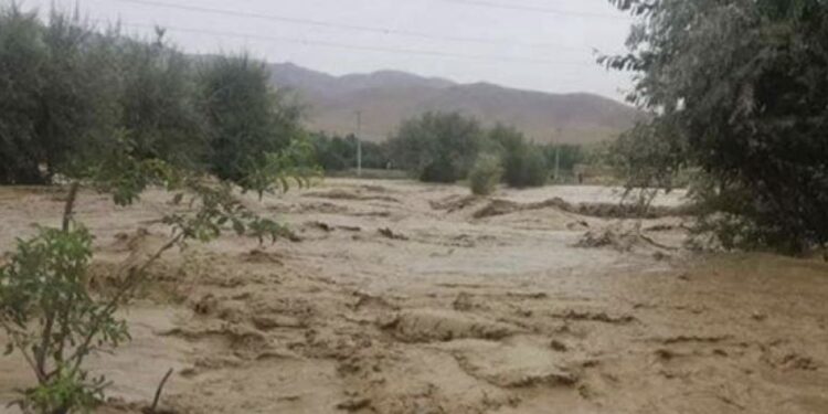 پکتیکا کې سېلابونو له مزکز ښرنې سره د ۳ ولسوالیو لارې تړلې دي