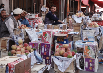 کروندګر له حکومته د خپلو مېوو لپاره د بازار پيداکېدو غوښتنه کوي