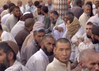 په نیمروز کې د څه باندې دوه زره روږدو درملنه شوې ده