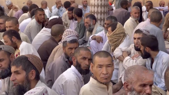 په نیمروز کې د څه باندې دوه زره روږدو درملنه شوې ده