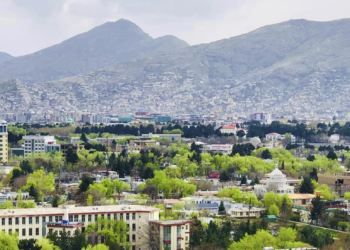 روان کال ۷۳ غیر دولتي بنسټونو ته د فعالیت جوازونه وېشل شوي
