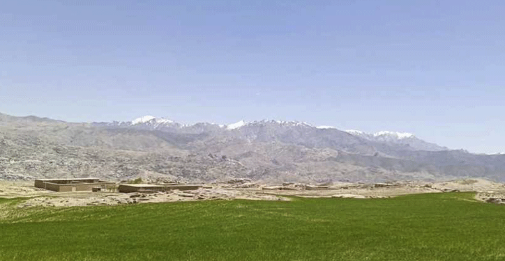 چارواکي: هېواد کې تر کښت لاندې سیمې ۷ سلنه پراخې شوي