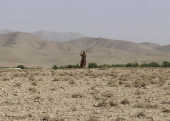 خلک: د مخابراتي شبکو لګښتونه زیات خو کیفیت یې خراب دی