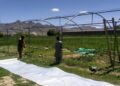 کرنې وزارت: له بزګرانو سره تر سل زرو افغانیو مالي مرستې کولای شو