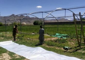 کرنې وزارت: له بزګرانو سره تر سل زرو افغانیو مالي مرستې کولای شو