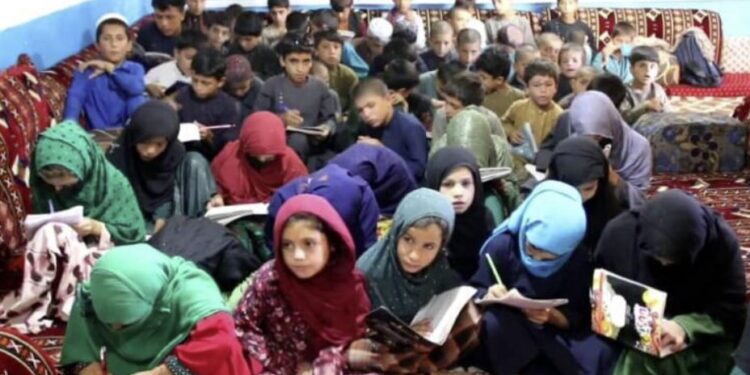 خوست کې یوه ځوان لسګونه ماشومانو ته د زده کړې زمینه برابره کړې