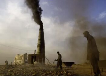 چارواکي: هغه کسان چې دهوا ککړتیا لامل ګرځي مجرمان دي