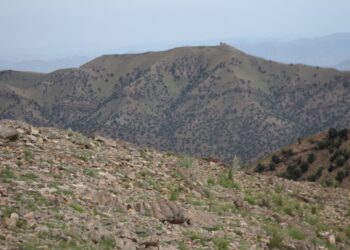 سیاسي کمېسیون: افغانستان پر خپلو سرحدونو پوره څار لري