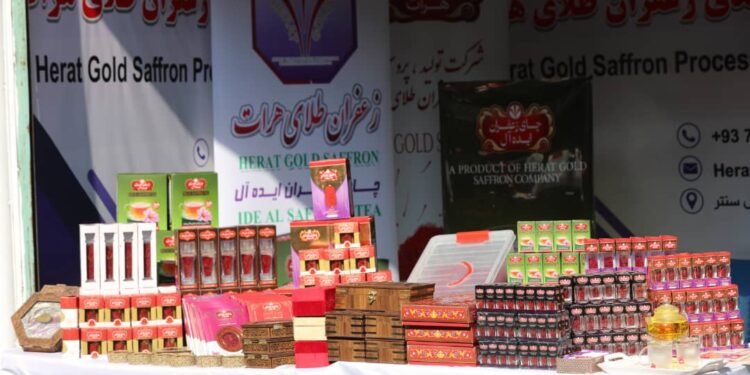 کابل کې د کرنیزو محصولاتو ۳۱م نندارتون پرانیستل شو