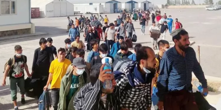 چارواکي: افغان کډوال د هېڅ هېواد کورنيو چارو کې لاسوهنه نه کوي
