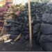هېواد کې دبرو سکرو بیه بیا راټيټه شوې ده