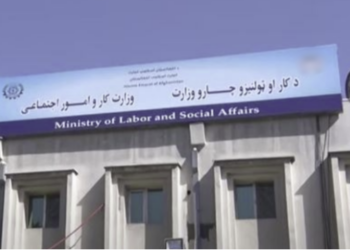 د کار د جوازونو په وېش کې ۶۵ سلنه زیاتوالی راغلی دی