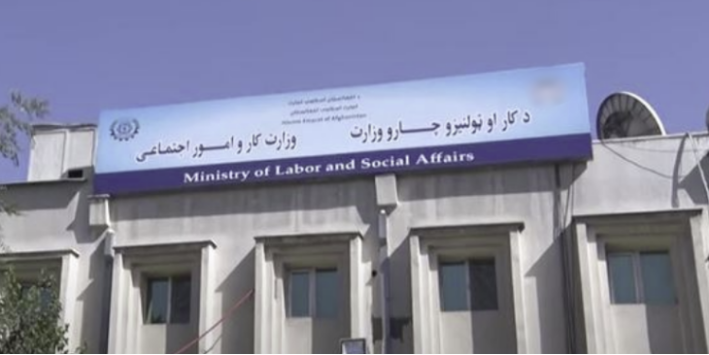 د کار د جوازونو په وېش کې ۶۵ سلنه زیاتوالی راغلی دی