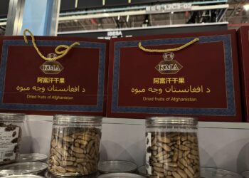 د چین نړیوال نندارتون؛ افغاني تولیدات پکې نندارې اېښودل شوي