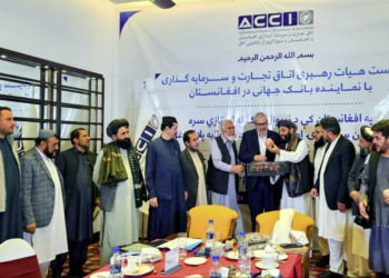 د سوداګرۍ او پانګونې خونې غړو د نړیوال بانک استازي سره کتلي
