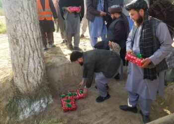 جوزجان کې د جنګل باغ لپاره د اوبو رسونې شبکه جوړیږي