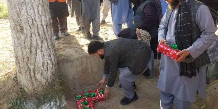 جوزجان کې د جنګل باغ لپاره د اوبو رسونې شبکه جوړیږي