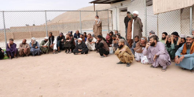 هرات کې په نشه يي توکو د ۱۷۰ روږدو کسانو درملنه شوې