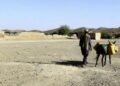 اوچا: د اقلیمي بدلون ګډونوال دې افغانستان ته ځانګړی پام وکړي