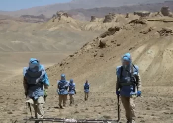 هېواد کې د ناچاوده توکو پر شنډولو ټینګار شوی