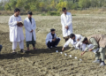هېواد کې کروندګرو ته د کوکنارو بدیل کښتونو تخمونه وېشل شوي