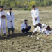 هېواد کې کروندګرو ته د کوکنارو بدیل کښتونو تخمونه وېشل شوي