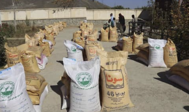 لوګر کې پر بزګرانو د غنمو اصلاح شوي تخمونه او کیمیاوي سرې ووېشل شوه