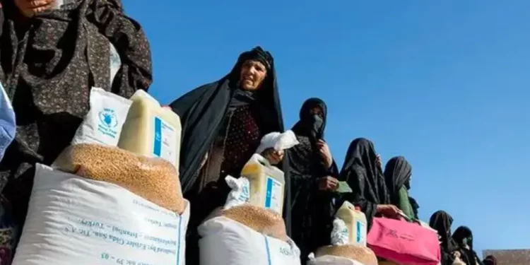 اوچا: راتلونکی کال ۲۲.۹ میلیونه افغانان بشري مرستو ته اړتیا لري