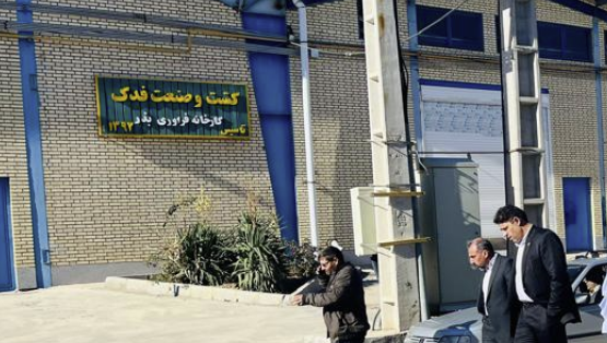 د کرنې وزارت مرستیال د ایران له صنعتي شرکتونو څخه لېدنه کړې