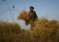 نړیوال بانک: د افغانستان ناخالصو کورنیو تولیداتو ۲.۷سلنه وده کړې
