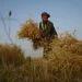 نړیوال بانک: د افغانستان ناخالصو کورنیو تولیداتو ۲.۷سلنه وده کړې