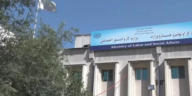 تېرو ۸ میاشتو کې ۶۵ زره د کار جوازونه وېشل شوي