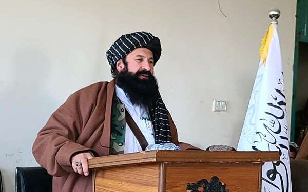 د حقاني شهادت ګڼ شمېر کورني او نړیوال غبرګونونه را پارولي