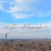 «د شينجيانګ تالونه» مستند فلم خپور شو