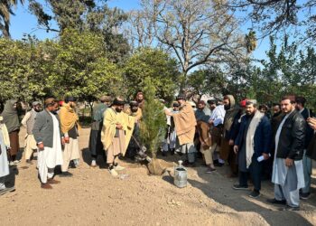 ننګرهار کې د نيالګيو کېنولو پسرلنی کمپاين پيل شو