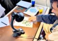 د پنجشېر څه باندې دوه زره قیراطه نور زمرد وپلورل شول