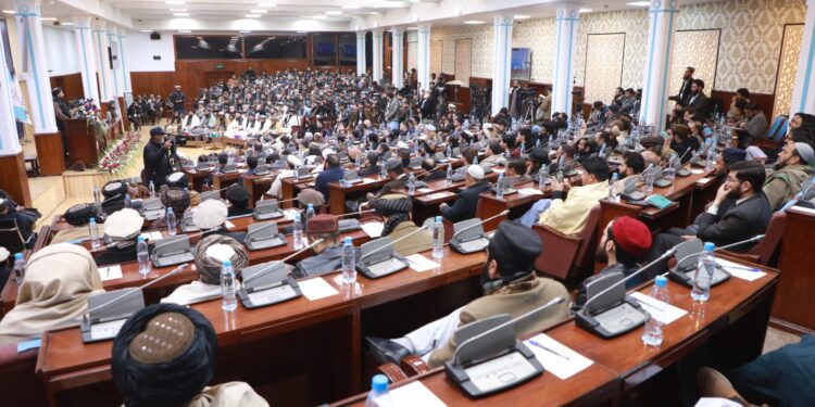 برادر: راستنېدونکو سوداګرو ته مو ځانګړي امتیازات په پام کې نیولي
