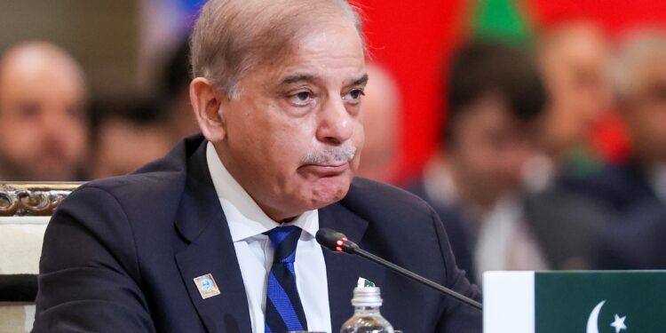شهباز شریف: د چين او پاکستان اقتصادي دهليز د سيمه ييز تګ راتګ بنسټ دی