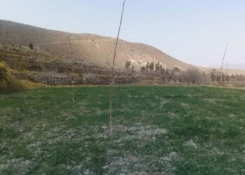 ننګرهار کې پر ۷۵ جریبه ځمکه د چهارمغزو ۶۸ بڼونه جوړ شوي