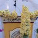 ننګرهار کې د نرګس ګل کلنۍ مشاعره ترسره شوه