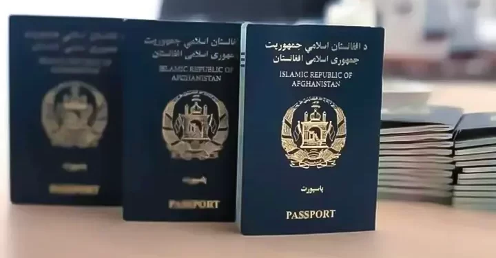 ننګرهار کې د پاسپورټ امریت ۳۸۱ میلیونه افغانۍ عواید راټول کړي