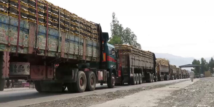 بهر ته د افغانستان د مېوو او سبزیجاتو په صادراتو کې زیاتوالی راغلی