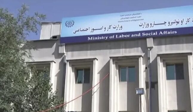 دکار او ټولنیزو چارو وزارت: روان کال ۳۵ زره کسانو حرفوي زده کړې ترلاسه کړې دي