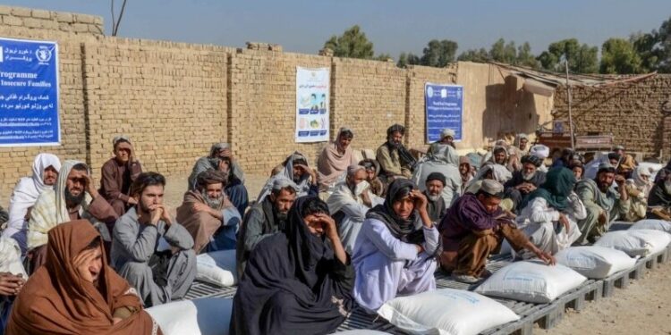 تیرکال افغانستان کې څه باندې ۲۰ میلیونو کسانو بشري مرستې ترلاسه کړې