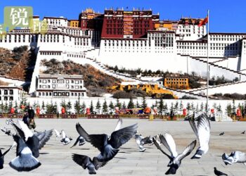 جعلي خبرونه د شي ځانګ د بشري حقونو پرمختګ نه شي پټولی