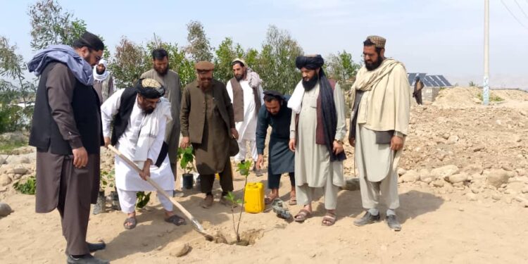 ننګرهار کې د کانال پر ځمکه د دوو پروژو چارې پيل شوې