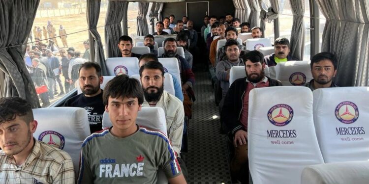 ایران ۲۱۱ نور افغان بندیان سرپرست حکومت ته وسپارل