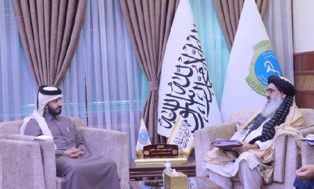 د عامې روغتیا وزارت سرپرست وزیر د قطر له شارژدافیر سره کتلي
