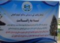 کندهار کې د نیالګیو کینولو ملي کمپاین پیل شوی دی