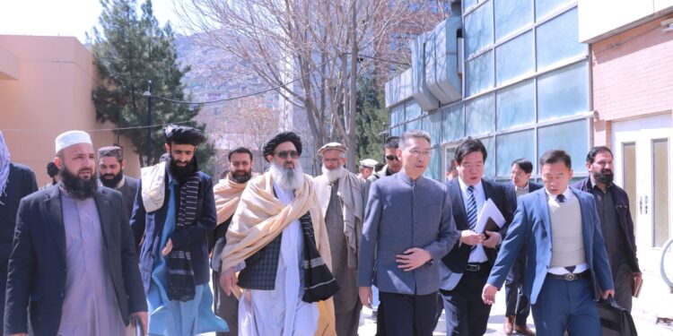 جاوشینګ: د الشفا روغتون بیارغونې، پراختیا او تجهیز کې مرسته کوو